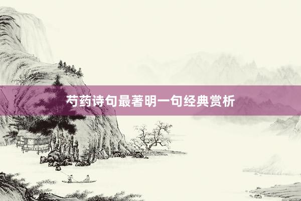 芍药诗句最著明一句经典赏析