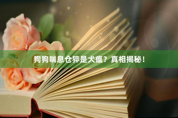 狗狗喘息仓猝是犬瘟？真相揭秘！